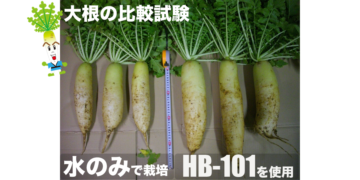 コンテンツ画像04
